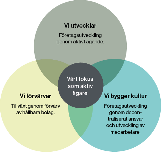 Fokus