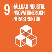 Globala mål